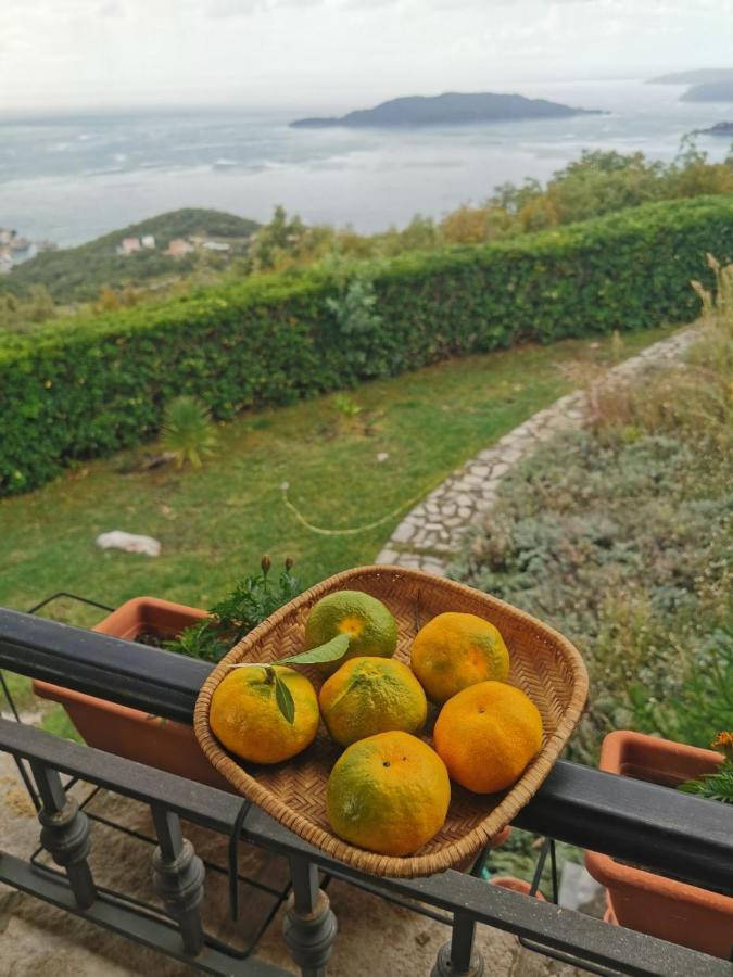 Lux Villa Provence Budva Exteriör bild